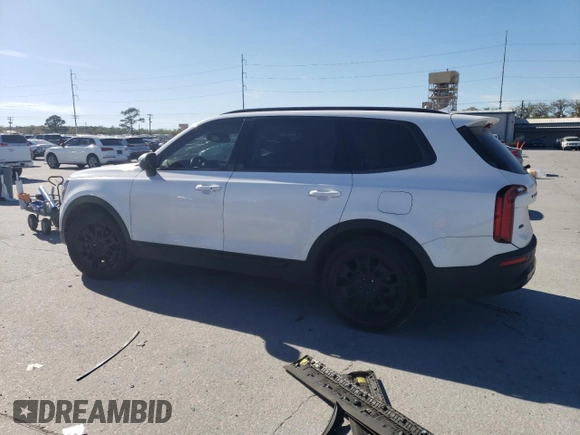 2021 Kia Telluride EX with VIN 5XYP3DHC3MG136781, listed as a Copart auction lot 47560575 with 59,247 mi miles and Salvage Title. Bid and sale history available at DreamBid. Image 2.