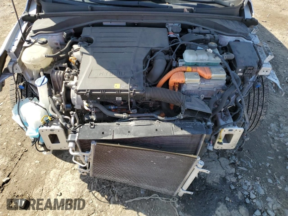2018 Hyundai Ioniq Limited with VIN KMHC05LCXJU097276, listed as a Copart auction lot 51117795 with 73,779 mi miles and Salvage title. Bid and sale history available at DreamBid. Image 11.