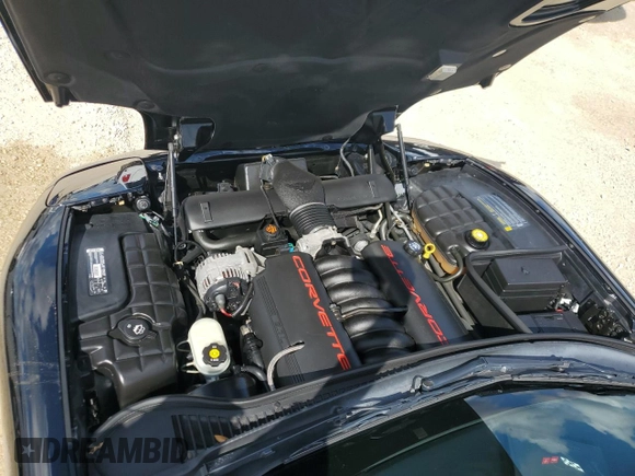 2002 Chevrolet Corvette with VIN 1G1YY22G225121306, listed as a Copart auction lot 74079384 with Not Provided miles and Salvage Title. Bid and sale history available at carsss.com. Image 11.