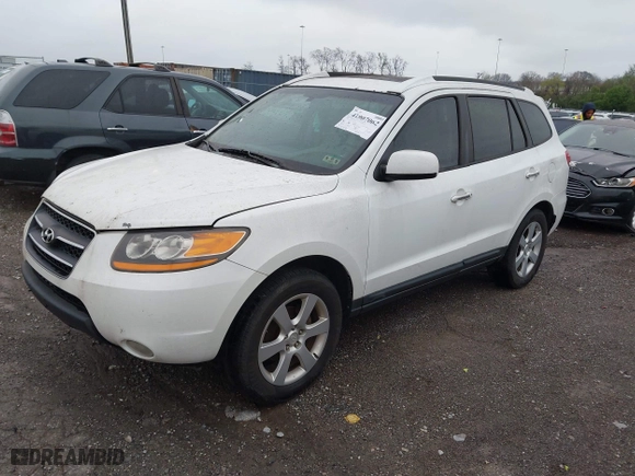 2008 Hyundai Santa Fe SE with VIN 5NMSH13E38H221411, listed as a IAAI auction lot 41907062 with 209,419 mi miles. Bid and sale history available at carsss.com. Image 2.
