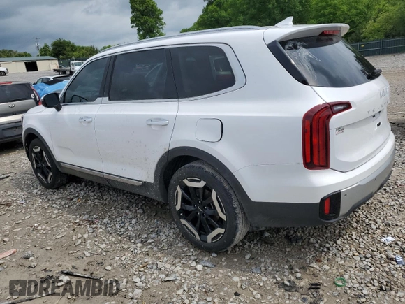 2024 Kia Telluride S with VIN 5XYP64GC5RG538334, listed as a Copart auction lot 53972225 with 14,691 mi miles and Salvage title. Bid and sale history available at DreamBid. Image 2.