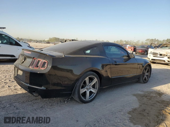 2013 Ford Mustang V6 with VIN 1ZVBP8AM5D5235990, listed as a Copart auction lot 50133225 with 155,947 mi miles and Clean title. Bid and sale history available at DreamBid. Image 3.