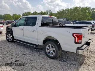 2017 Ford F-150 XL with VIN 1FTEW1C80HFB77877, listed as a Copart auction lot 61271855 with 189,185 mi miles and Salvage title. Bid and sale history available at DreamBid. Image 2.