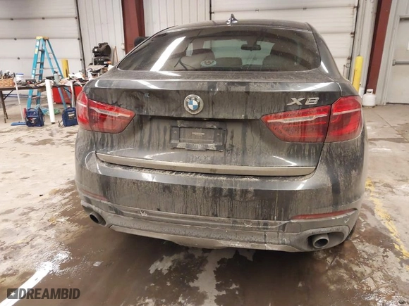 2017 BMW X6 xDrive35i with VIN 5UXKU2C5XH0N84594, listed as a IAAI auction lot 41612201 with 103,290 mi miles. Bid and sale history available at carsss.com. Image 16.
