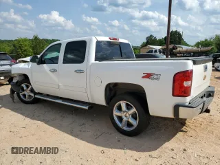 2013 Chevrolet Silverado 1500 LT with VIN 3GCPKSE72DG281861, listed as a Copart auction lot 55227385 with 253,170 mi miles and Salvage Title. Bid and sale history available at DreamBid. Image 2.