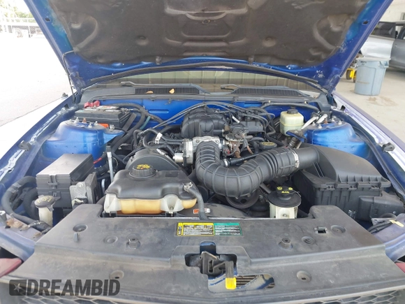 2005 Ford Mustang Deluxe with VIN 1ZVFT80N655176666, listed as a IAAI auction lot 42686893 with 218,881 mi miles and . Bid and sale history available at DreamBid. Image 10.