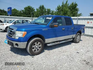 2009 Ford F-150 XL with VIN 1FTPW14V39FA64116, listed as a Copart auction lot 59893095 with 215,382 mi miles and Salvage title. Bid and sale history available at DreamBid. Image 1.