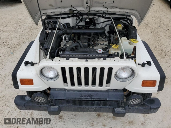1999 Jeep Wrangler Sport with VIN 1J4FY19S2XP448670, listed as a Copart auction lot 73990734 with 0 mi miles and Non Repairable. Bid and sale history available at carsss.com. Image 11.