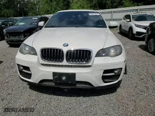 2013 BMW X6 xDrive35i with VIN 5UXFG2C59DL783279, listed as a Copart auction lot 59685334 with 134,324 mi miles and Salvage Title. Bid and sale history available at carsss.com. Image 12.