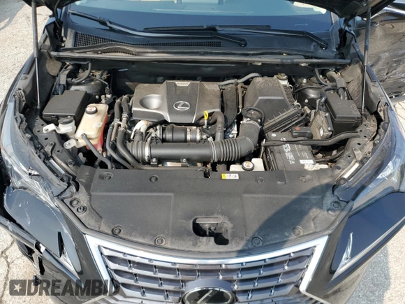 2019 Lexus NX 300 with VIN JTJBARBZ1K2210620, listed as a Copart auction lot 58600295 with 48,730 mi miles and Salvage title. Bid and sale history available at DreamBid. Image 12.