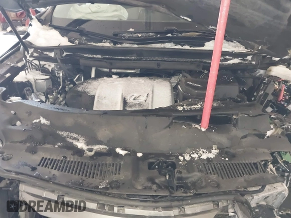 2017 Lexus RX 350 with VIN 2T2BZMCAXHC081175, listed as a IAAI auction lot 41613662 with Not provided miles and . Bid and sale history available at DreamBid. Image 10.