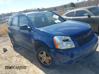2009 Chevrolet Equinox LS with VIN 2CNDL13F696228387, listed as a IAAI auction lot 41842540 with 288,246 mi miles. Bid and sale history available at carsss.com. Image 1.