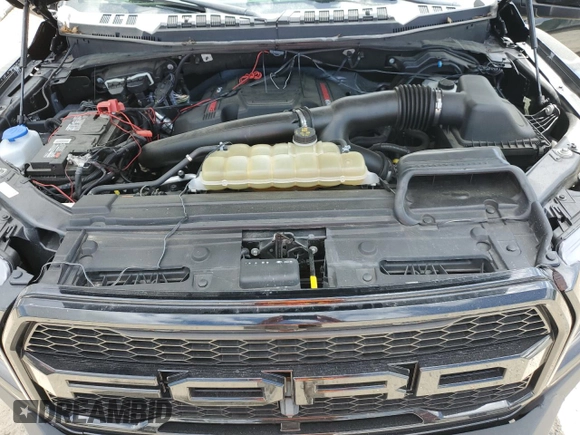 2020 Ford F-150 Raptor with VIN 1FTFW1RG0LFB10014, listed as a Copart auction lot 51578245 with 57,303 mi miles and Non Repairable. Bid and sale history available at carsss.com. Image 11.