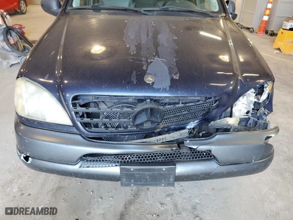 1999 Mercedes-Benz M-Class with VIN 4JGAB54E6XA064741, listed as a Copart auction lot 73570324 with 204,721 mi miles and Salvage Title. Bid and sale history available at carsss.com. Image 12.