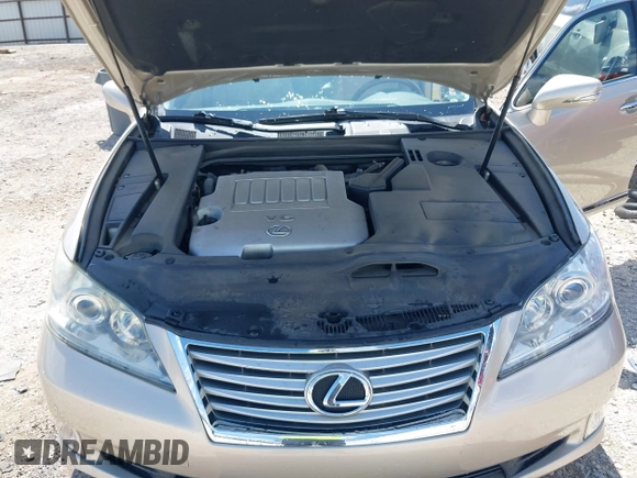 2010 Lexus ES 330 with VIN JTHBK1EG4A2390829, listed as a IAAI auction lot 42120535 with 111,764 mi miles and . Bid and sale history available at DreamBid. Image 10.
