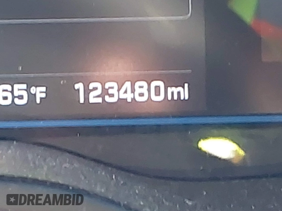 2019 Hyundai Ioniq Blue with VIN KMHC65LC2KU119660, listed as a IAAI auction lot 41710680 with 123,480 mi miles and . Bid and sale history available at DreamBid. Image 15.