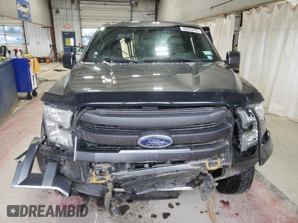 2015 Ford F-150 XLT with VIN 1FTEX1EP5FFC13030, listed as a Copart auction lot 46845495 with 177,880 mi miles and Salvage Title. Bid and sale history available at carsss.com. Image 5.