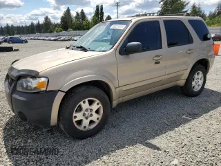 2007 Ford Escape Limited with VIN 1FMCU04137KB33107, listed as a Copart auction lot 55357475 with 200,698 mi miles and Clean title. Bid and sale history available at DreamBid. Image 1.