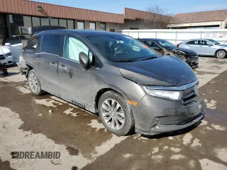 2021 Honda Odyssey EX-L with VIN 5FNRL6H70MB020405, listed as a Copart auction lot 46186085 with 61,300 mi miles and Salvage Title. Bid and sale history available at DreamBid. Image 4.