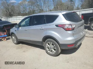 2017 Ford Escape SE with VIN 1FMCU0G9XHUB31328, listed as a Copart auction lot 48810195 with Not Provided miles and Salvage Title. Bid and sale history available at DreamBid. Image 2.