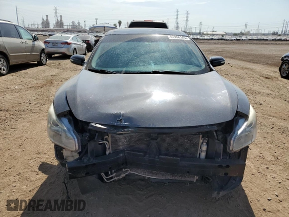 2009 Nissan Maxima SV with VIN 1N4AA51E19C819903, listed as a Copart auction lot 61956143 with 164,469 mi miles and Clean Title. Bid and sale history available at DreamBid. Image 5.