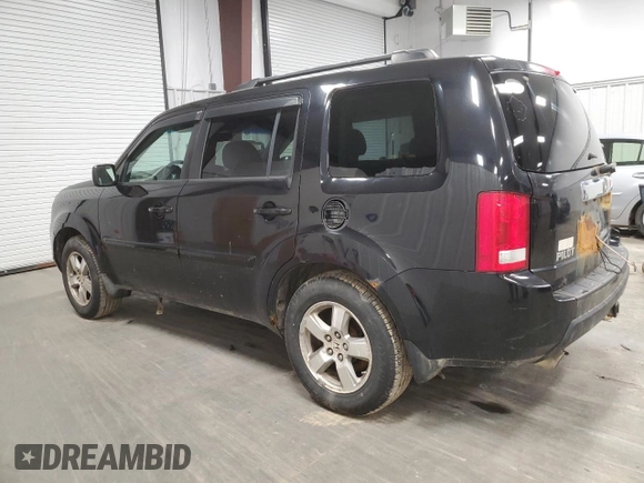 2009 Honda Pilot EX-L with VIN 5FNYF48589B017507, listed as a Copart auction lot 51103955 with 194,116 mi miles and Clean Title. Bid and sale history available at carsss.com. Image 2.