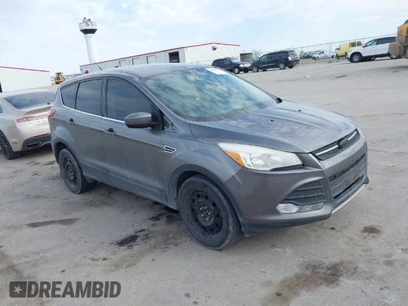 2014 Ford Escape SE with VIN 1FMCU0GX9EUE26575, listed as a IAAI auction lot 41846411 with 188,386 mi miles. Bid and sale history available at carsss.com. Image 1.