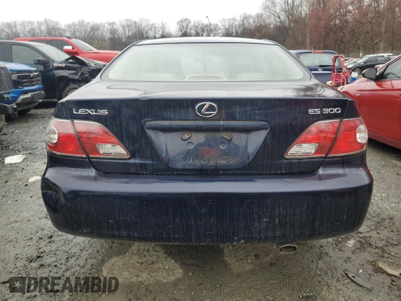 2003 Lexus ES 300 with VIN JTHBF30G036009951, listed as a Copart auction lot 50021235 with 231,411 mi miles and Salvage Title. Bid and sale history available at DreamBid. Image 6.