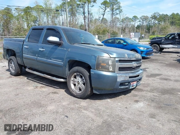 2009 Chevrolet Silverado 1500 LT with VIN 3GCEC23029G281537, listed as a IAAI auction lot 41805339 with 217,517 mi miles. Bid and sale history available at carsss.com. Image 1.