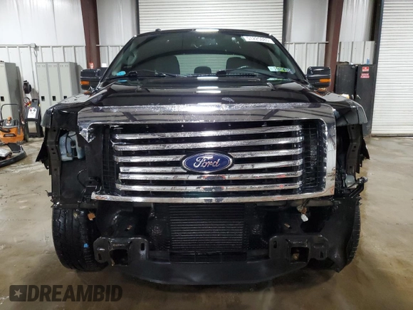 2011 Ford F-150 XL with VIN 1FTFX1ET7BFC43304, listed as a Copart auction lot 51225085 with 119,048 mi miles and Salvage Title. Bid and sale history available at DreamBid. Image 5.