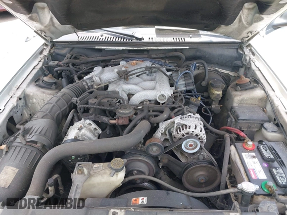 2003 Ford Mustang Deluxe with VIN 1FAFP44423F446524, listed as a IAAI auction lot 42316187 with 240,238 mi miles and . Bid and sale history available at DreamBid. Image 10.
