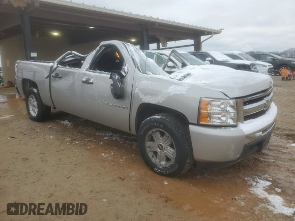 2009 Chevrolet Silverado 1500 with VIN 2GCEC23J191140301, listed as a Copart auction lot 45950505 with Not Provided miles and Non Repairable. Bid and sale history available at DreamBid. Image 4.