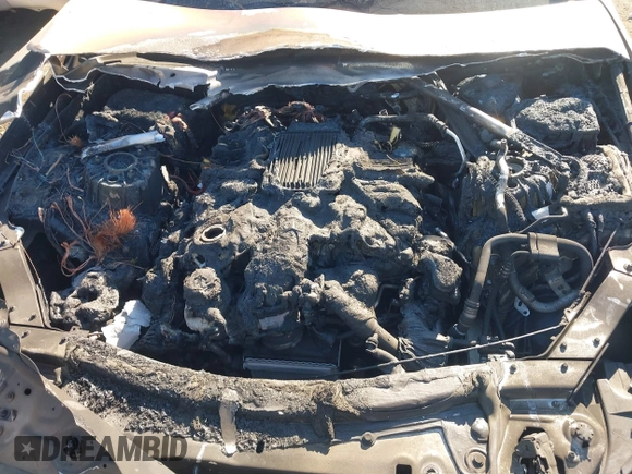 2019 Mercedes-Benz E with VIN WDD1J6HB9KF075831, listed as a IAAI auction lot 41284835 with Not Provided miles. Bid and sale history available at carsss.com. Image 10.