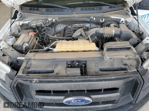 2017 Ford F-150 XL with VIN 1FTEX1CF0HKE13821, listed as a Copart auction lot 52849845 with 104,052 mi miles and Salvage Title. Bid and sale history available at carsss.com. Image 13.
