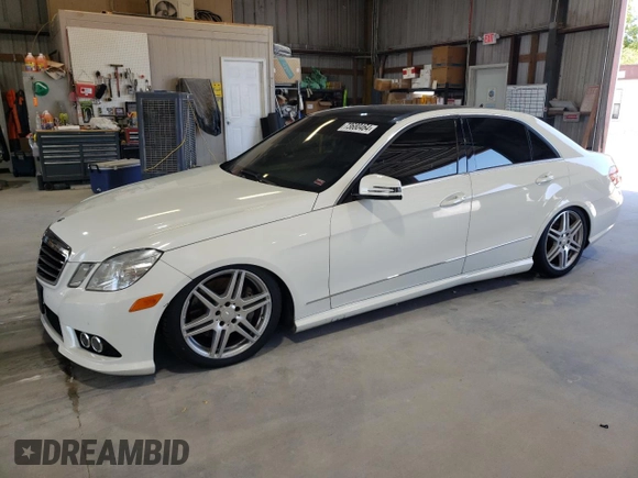 2010 Mercedes-Benz E-Class E 550 Luxury with VIN WDDHF9AB2AA228248, listed as a Copart auction lot 73680464 with 153,586 mi miles and Salvage Title. Bid and sale history available at carsss.com. Image 1.
