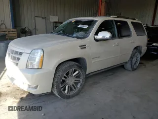 2013 Cadillac Escalade Premium with VIN 1GYS4CEF4DR179358, listed as a Copart auction lot 44060485 with 175,268 mi miles and Clean Title. Bid and sale history available at carsss.com. Image 1.