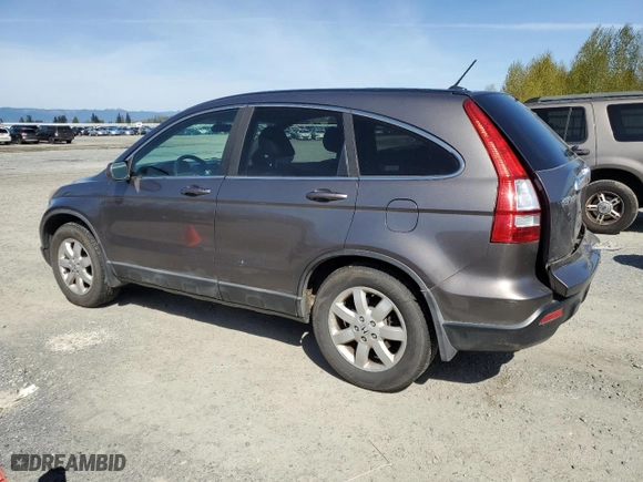 2009 Honda CR-V EX-L with VIN 5J6RE48789L031388, listed as a Copart auction lot 53002655 with 259,803 mi miles and Salvage Title. Bid and sale history available at carsss.com. Image 2.