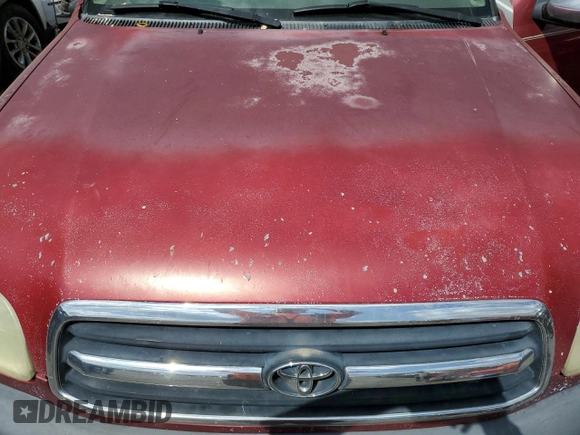 2002 Toyota Tundra SR5 with VIN 5TBRN34122S247087, listed as a Copart auction lot 53264195 with Not Provided miles and Salvage Title. Bid and sale history available at DreamBid. Image 12.