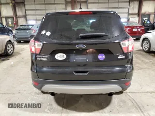 2017 Ford Escape SE with VIN 1FMCU0GD1HUD91766, listed as a Copart auction lot 45478855 with 123,818 mi miles and Salvage Title. Bid and sale history available at carsss.com. Image 6.