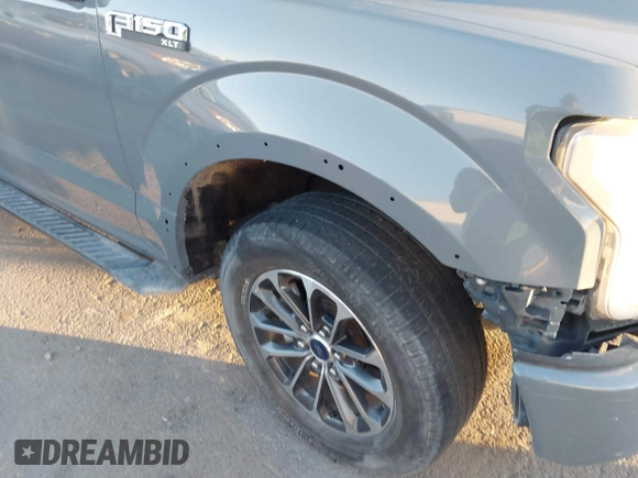 2019 Ford F-150 XL with VIN 1FTEW1CP5KKC67435, listed as a IAAI auction lot 41143282 with 134,419 mi miles and . Bid and sale history available at DreamBid. Image 17.