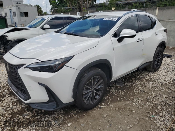 2022 Lexus NX with VIN 2T2ADCAZ9NC001423, listed as a Copart auction lot 62455124 with 3,107 mi miles and Non Repairable. Bid and sale history available at carsss.com. Image 1.