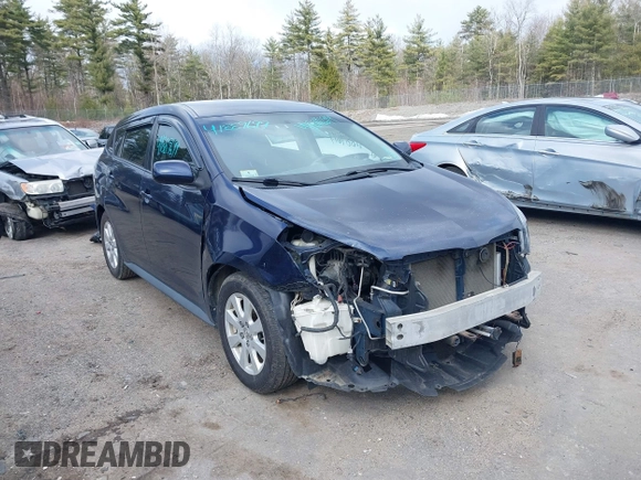 2009 Pontiac Vibe w/1SB with VIN 5Y2SL67029Z431635, listed as a IAAI auction lot 41889699 with 133,773 mi miles. Bid and sale history available at carsss.com. Image 6.