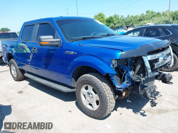 2013 Ford F-150 XL with VIN 1FTFW1EF3DFE08376, listed as a IAAI auction lot 42624045 with 189,635 mi miles and . Bid and sale history available at DreamBid. Image 1.