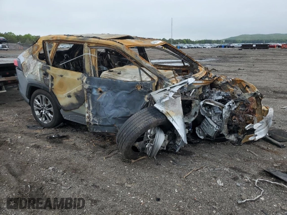 2023 Toyota RAV4 XLE Premium with VIN JTMA1RFV7PJ041903, listed as a Copart auction lot 56928875 with Not provided miles and Salvage title. Bid and sale history available at DreamBid. Image 4.
