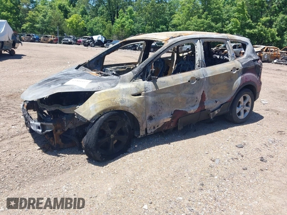 2014 Ford Escape SE с VIN 1FMCU9GX3EUB22887, выставлен на аукционе IAAI как лот 42301119 с пробегом Не указан миль и . История ставок и продаж доступна на DreamBid. Изображение 2.
