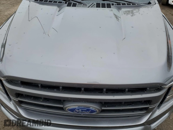 2023 Ford F-150 XL с VIN 1FTEW1EP4PKE01890, выставлен на аукционе Copart как лот 57389435 с пробегом Не указан миль и На запчасти • Non repairable. История ставок и продаж доступна на DreamBid. Изображение 11.