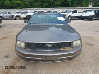 2005 Ford Mustang Deluxe with VIN 1ZVFT80N255121745, listed as a IAAI auction lot 42540069 with Not provided miles and . Bid and sale history available at DreamBid. Image 6.