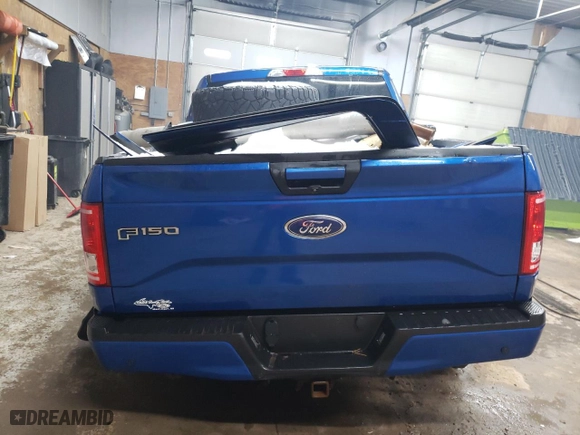 2017 Ford F-150 XL with VIN 1FTEW1EP5HFC02339, listed as a Copart auction lot 49891705 with 162,912 mi miles and Clean Title. Bid and sale history available at carsss.com. Image 6.