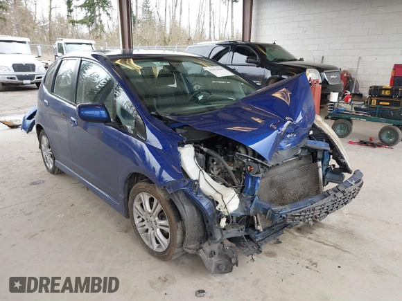 2009 Honda Fit Sport with VIN JHMGE88459C001743, listed as a IAAI auction lot 41852048 with 128,225 mi miles. Bid and sale history available at carsss.com. Image 1.