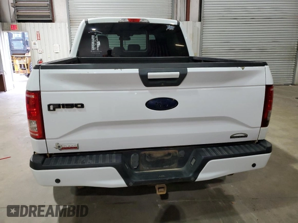 2017 Ford F-150 XL with VIN 1FTEW1CP8HKC03320, listed as a Copart auction lot 44320755 with 134,569 mi miles and Salvage Title. Bid and sale history available at carsss.com. Image 6.